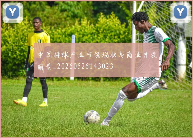 中国排球产业市场现状与商业开发前景_20260526143023