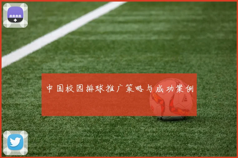 中国校园排球推广策略与成功案例