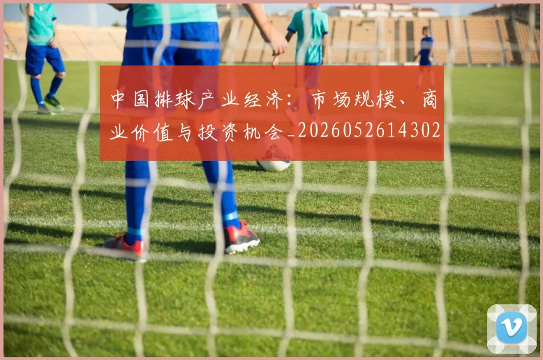 中国排球产业经济:市场规模、商业价值与投资机会_20260526143026